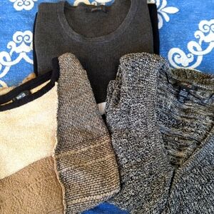 Style & Co. Sweaters